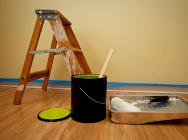 paint ladder