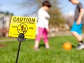 Bug Off: Getting the Facts on Insecticides