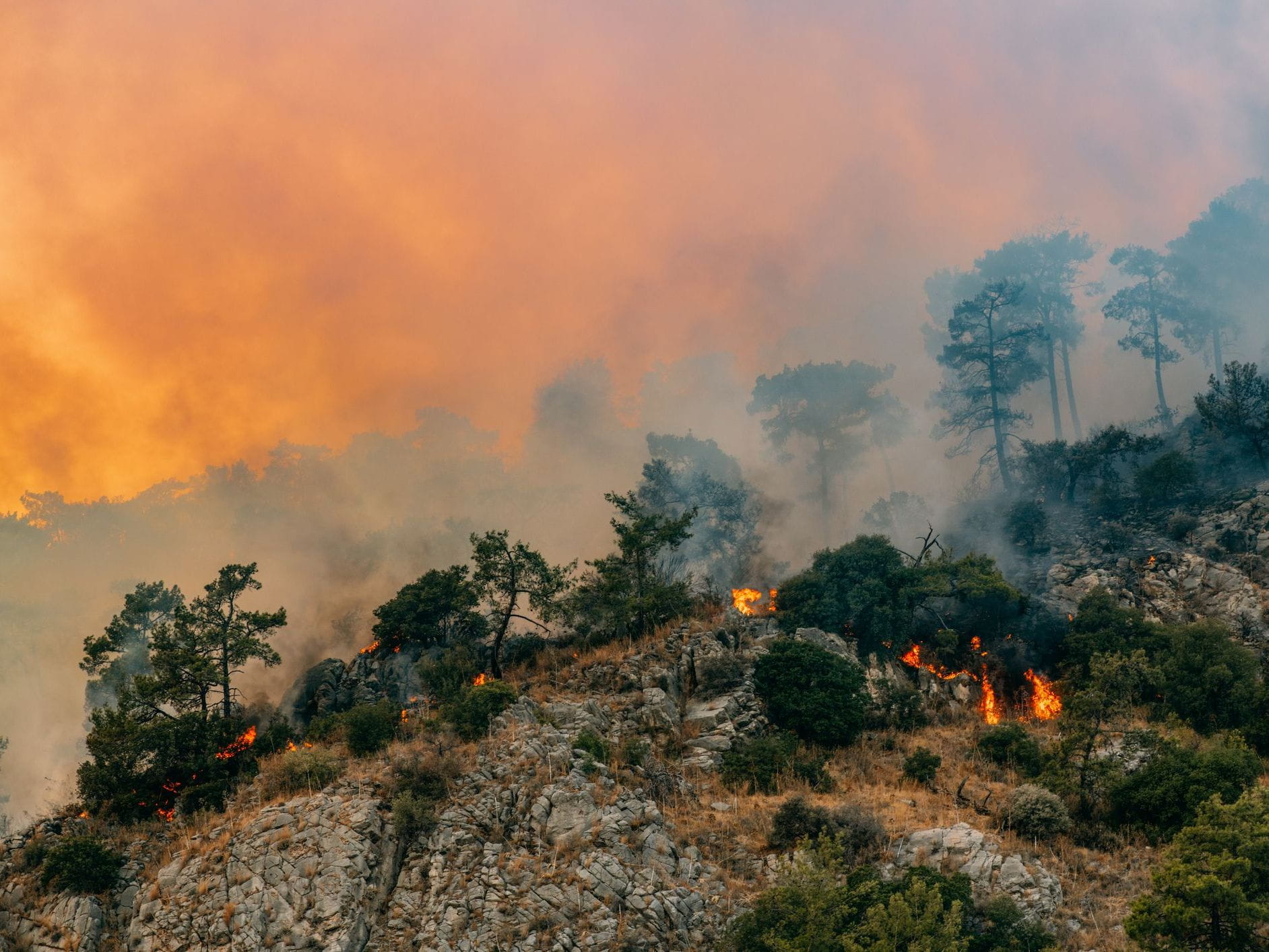 wildfire and smoke