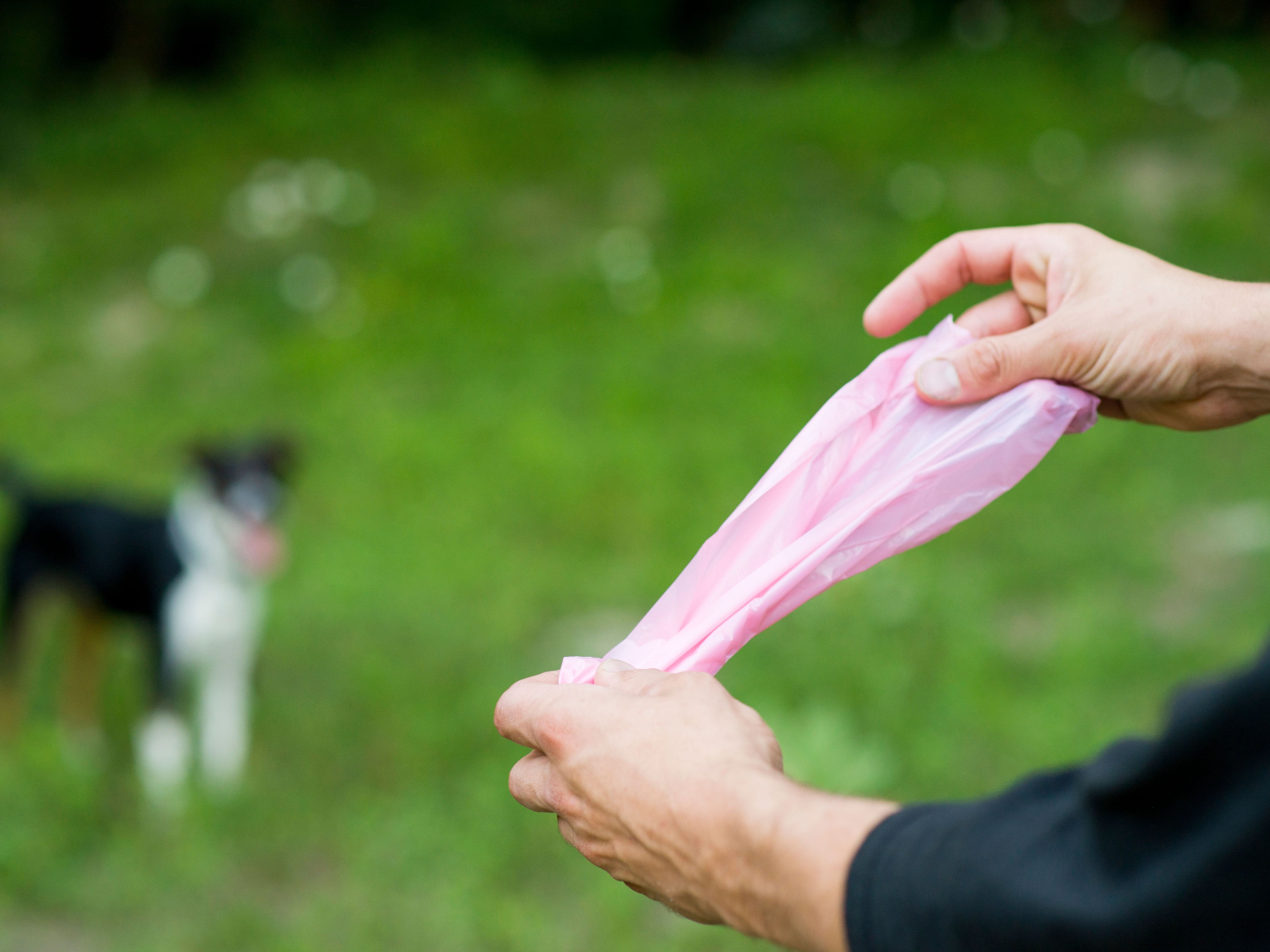 woman picking up dog's feces