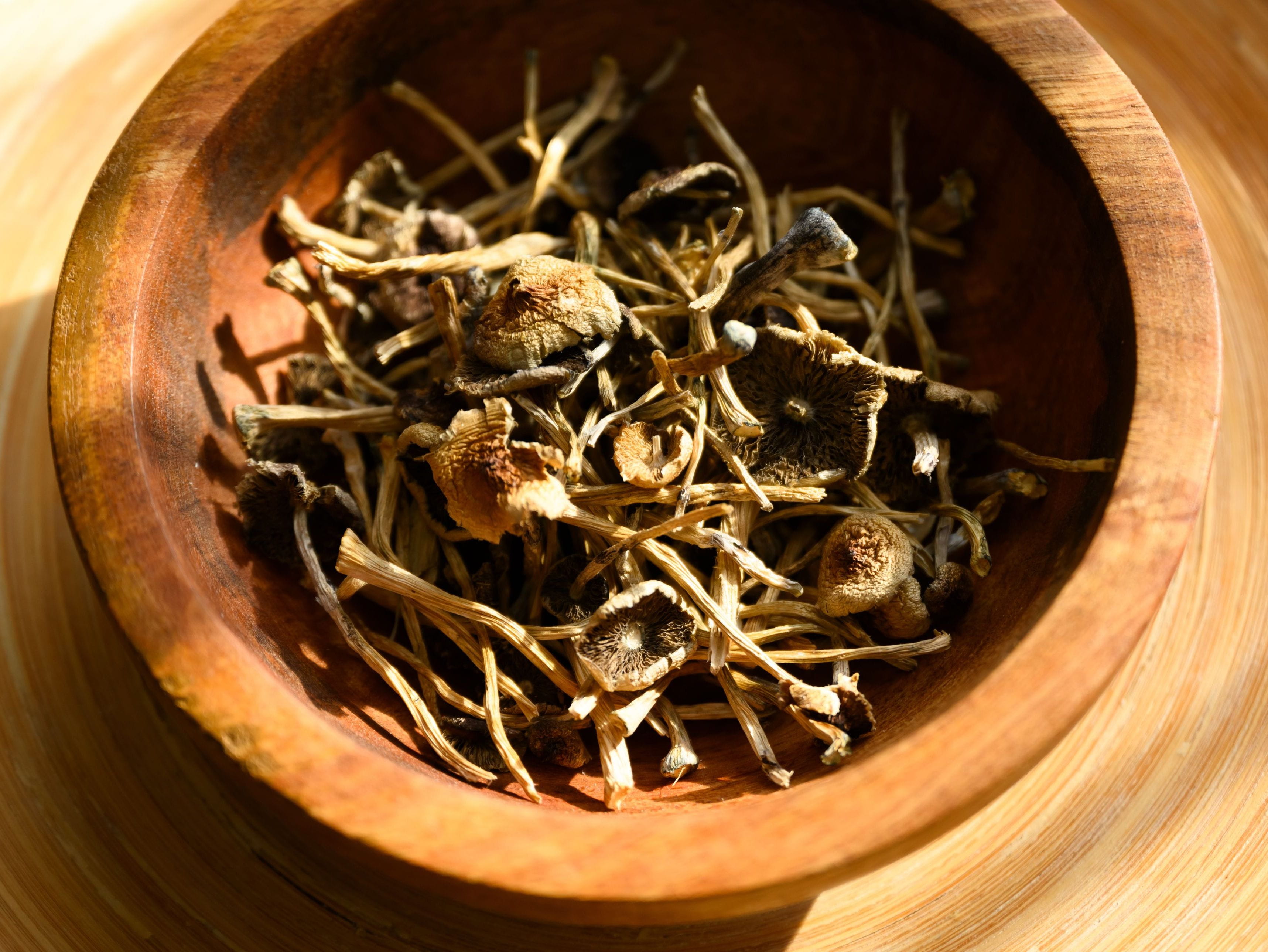 dried shrooms