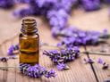 How Safe is Lavender Oil?