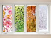 Poison & Prevention Information