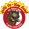 Nontoxic temporary tattoo of Spike. Use these with DVD.