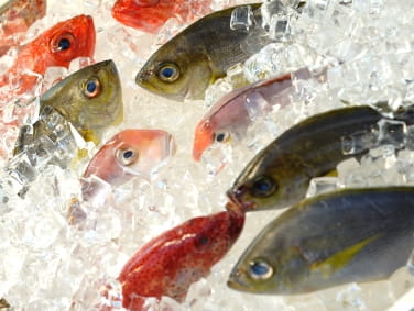 Food Poisoning from Fish: Scombroid