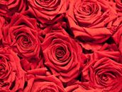 Tips for a Happy and Safe Valentine's Day