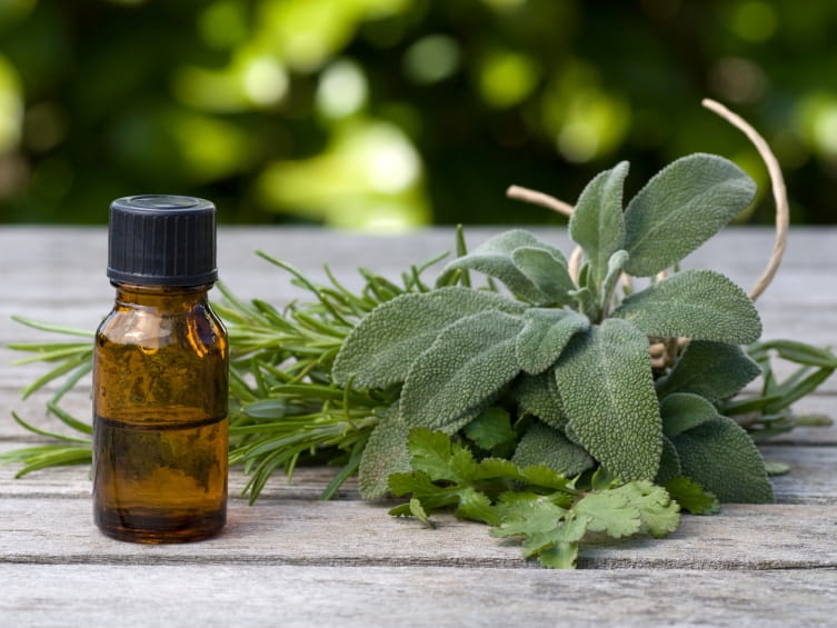 https://www.poison.org/-/media/images/shared/articles/2014-jun/essential-oils-poisonous-when-misused-1.jpg