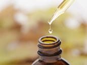 Pennyroyal Oil