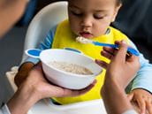 Arsenic in Baby Rice Cereals