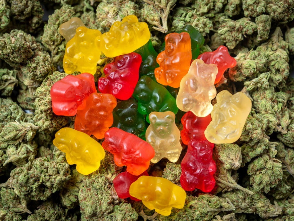 cbd products marijuana infused gummy bears