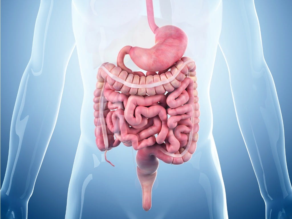 eluxadoline bowel medical illustration