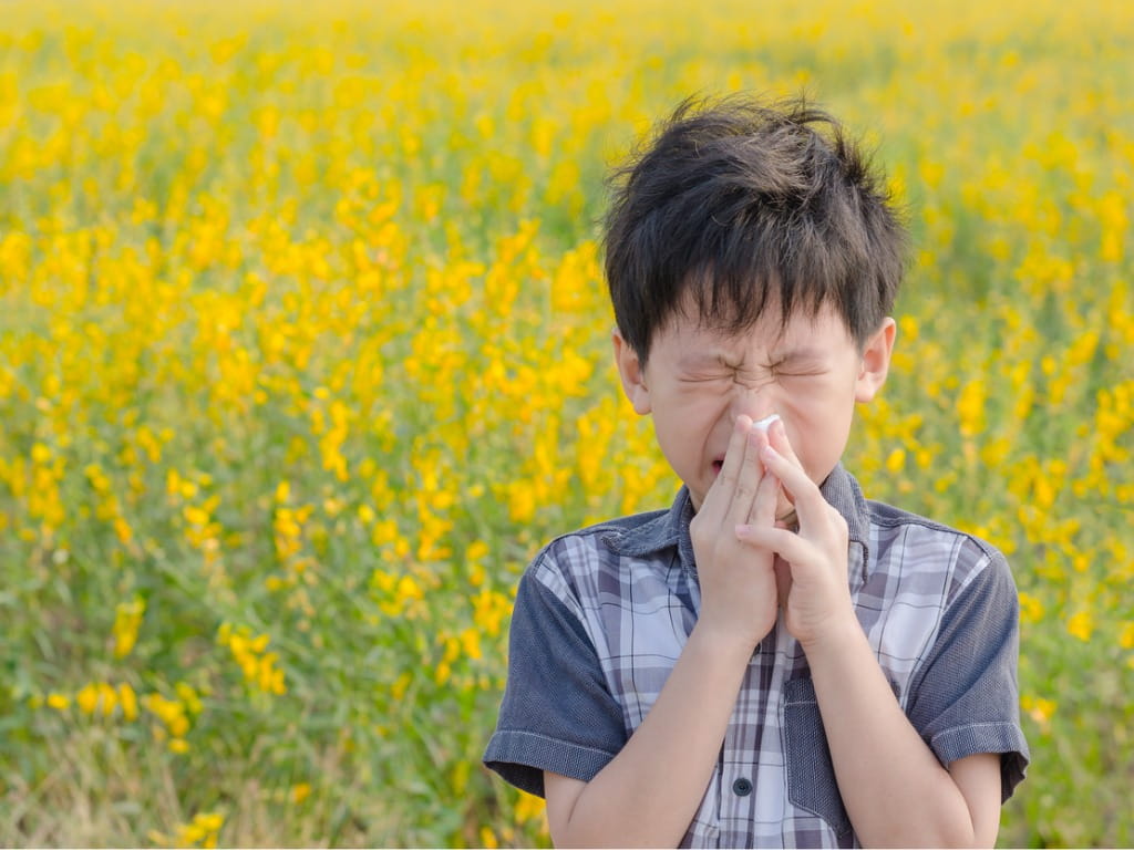 little boy sneezing from pollen allergy