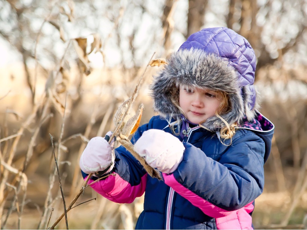 child holding dried milkweed