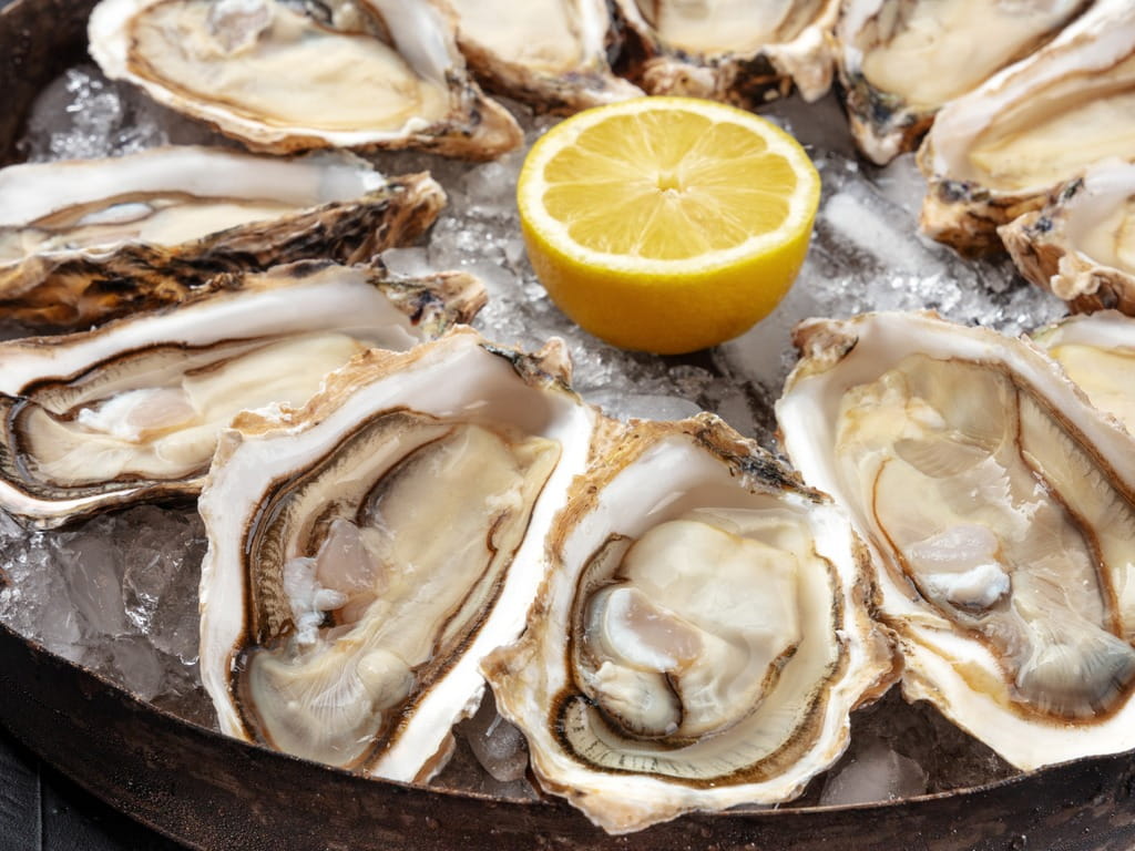 raw oysters