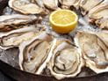 Are Raw Oysters Safe to Eat During Pregnancy?