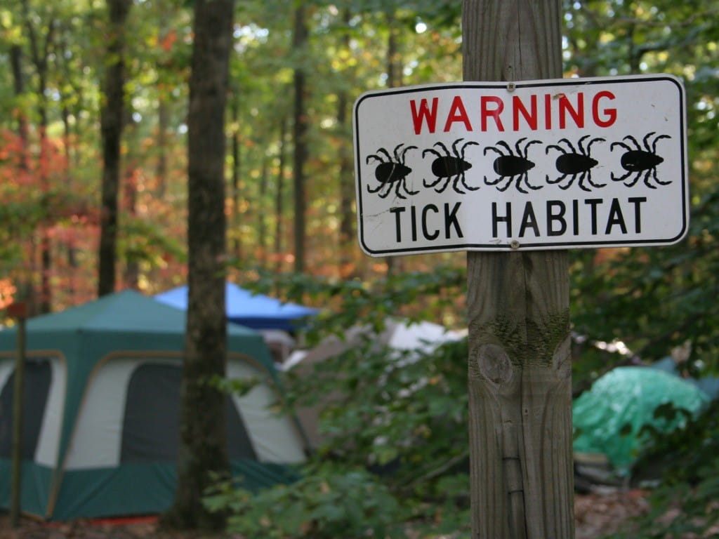 ticks camping in tents in the woods with tick habitat sign