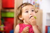 Poison Prevention for Toddler