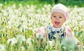 Spring Poison Prevention