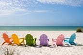 Summer Poison Prevention