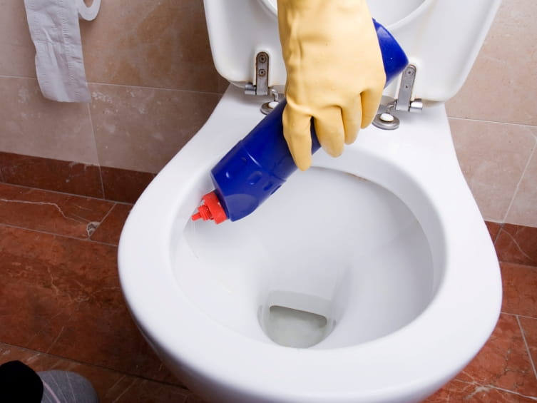 Use webPOISONCONTROL Toilet bowl cleaners