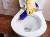 Is toilet bowl cleaner poisonous?