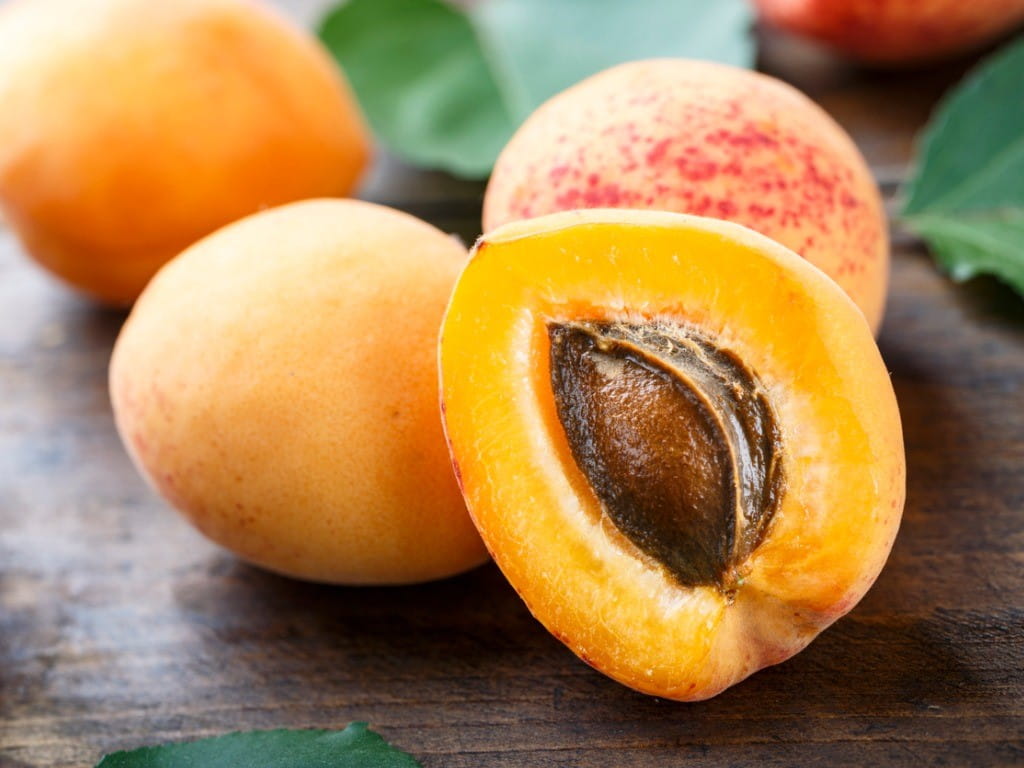 stone fruit ripe apricots cut to show kernel