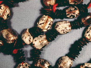 castor bean necklace