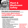 Plant card. Handy reference list of toxic and nontoxic plants.