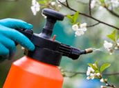 Pesticide & Nerve Agents: Similar Poisons, Similar Symptoms