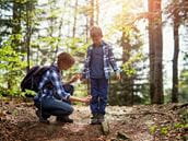 Tick-borne Diseases