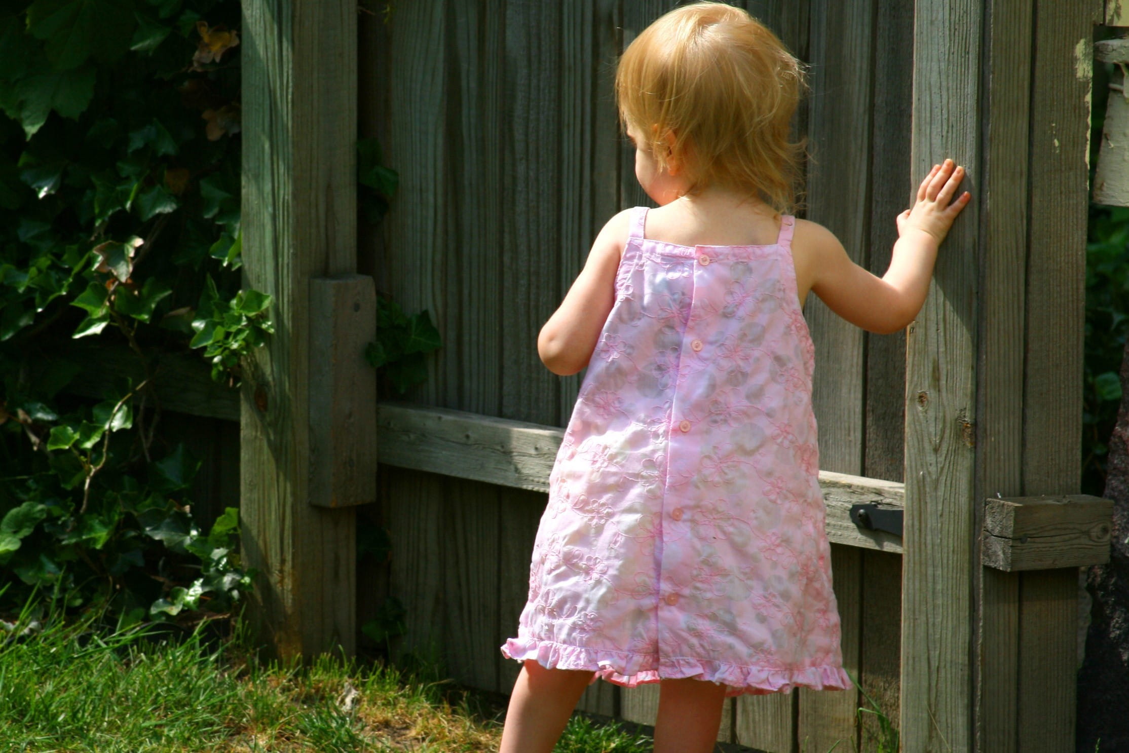 pyracantha child exploring garden