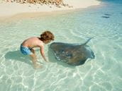 Prevention & Treatment of Stingray Injuries