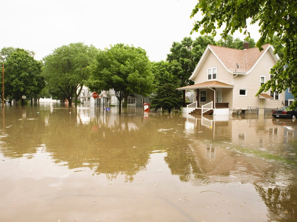 water purifiers flooding natural disaster